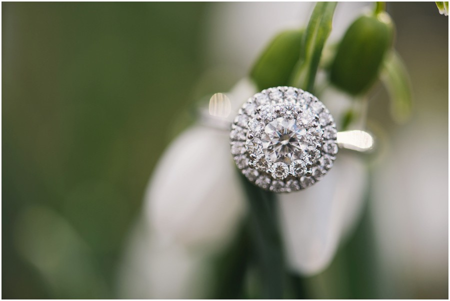 Matt & Taylor | Sky Meadows Park, Warrenton Virginia Engagement Photographer