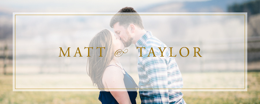 Matt & Taylor | Sky Meadows Park, Warrenton Virginia Engagement Photographer