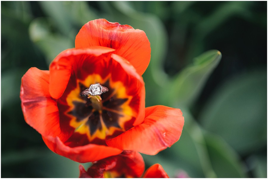 Donald & Sarah | Warrenton, Virginia Engagement Photographer