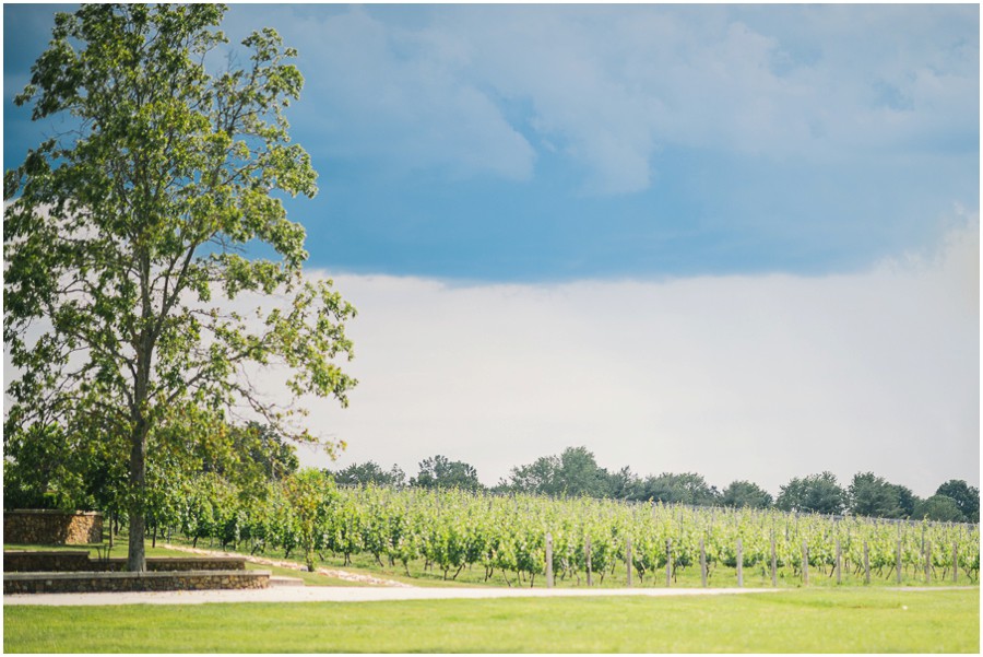 Michael & Candace | Morais Vineyard, Virginia Wedding Photographer