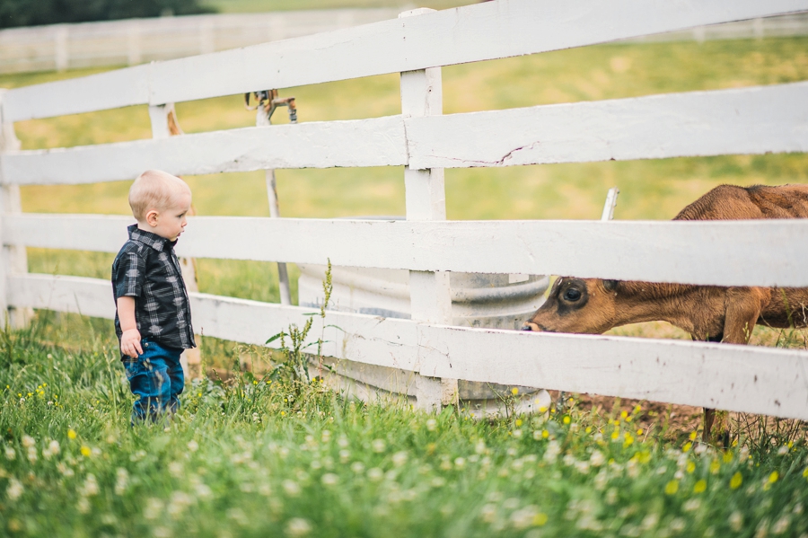 Kristy | Warrenton, Virginia Farm Maternity + Family Portrait Photographer