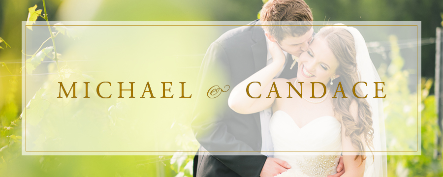 Michael & Candace | Morais Vineyard, Virginia Wedding Photographer