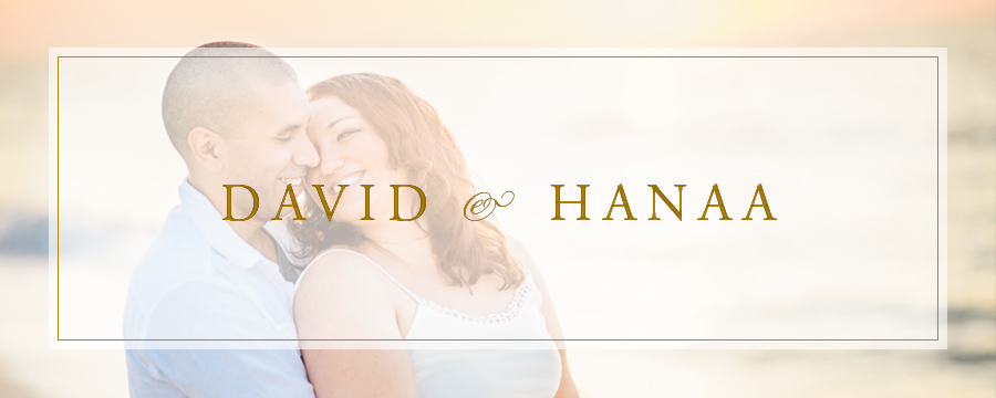 David & Hanaa | Chincoteague Beach, Virginia Engagement Photographer