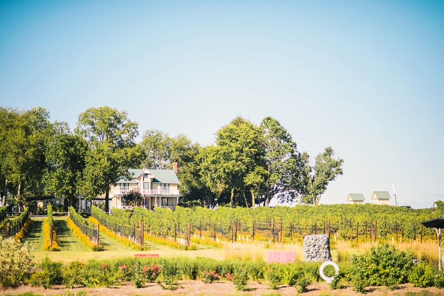 Matt & Taylor | Old House Vineyards, Culpeper, Virginia Wedding Photographer