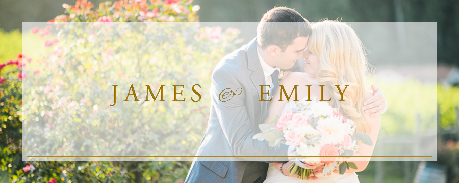 James & Emily | Potomac Point Winery, Virginia Wedding Photographer