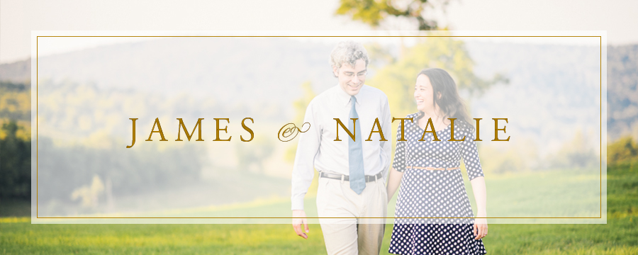 James & Natalie | Virginia State Park Engagement Photographer