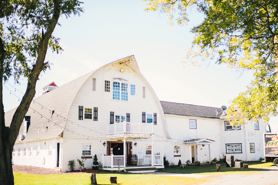 Tyler & Jess | Brandy Hill Farm, Culpeper, Virginia Wedding Photographer