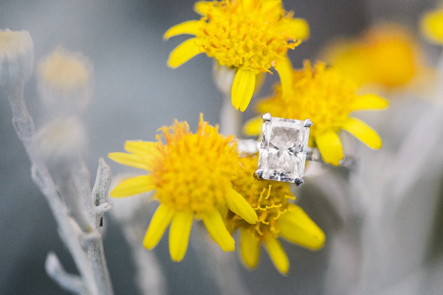 Matt & Tina | Stone Tower Winery, Leesburg, VA Engagement Photographer