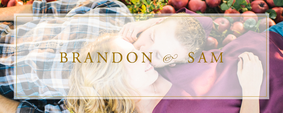 Brandon & Sam | Hartlands Orchard + Sky Meadows Park, Virginia Engagement Photographer