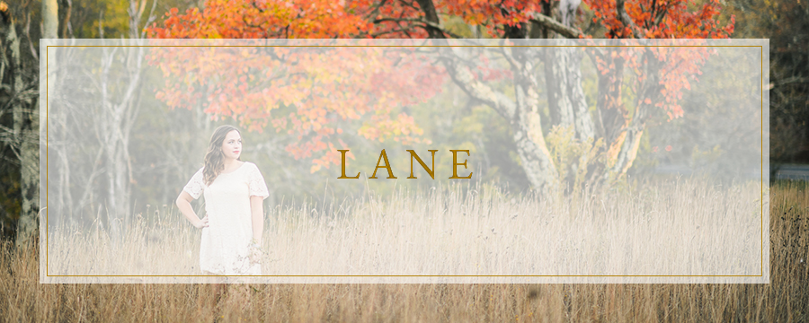 Lane | Skyline Drive, Virginia Senior Portrait Photographer