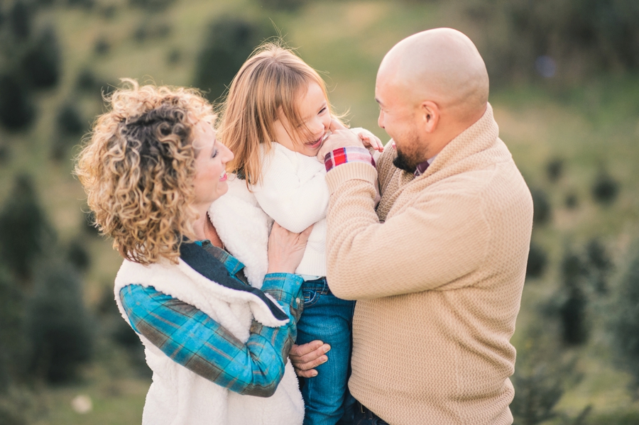 Hank's Christmas Tree Farm, Virginia Mini Sessions Pt. 1