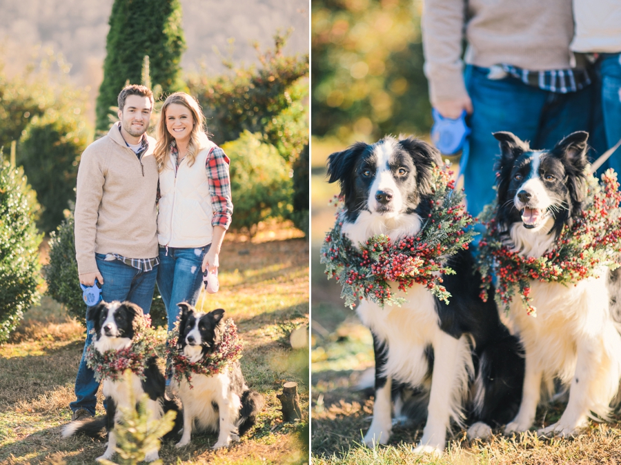 Hank's Christmas Tree Farm, Virginia Mini Sessions Pt. 1