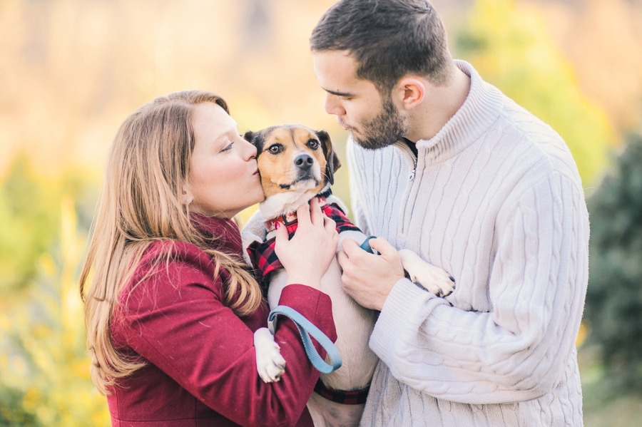 Hank's Christmas Tree Farm, Virginia Mini Sessions Pt. 3