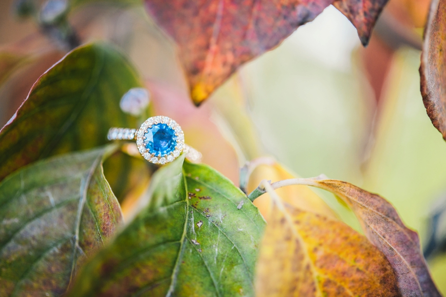 Ring Shots | Best of 2015, Virginia Engagement + Wedding Photographer