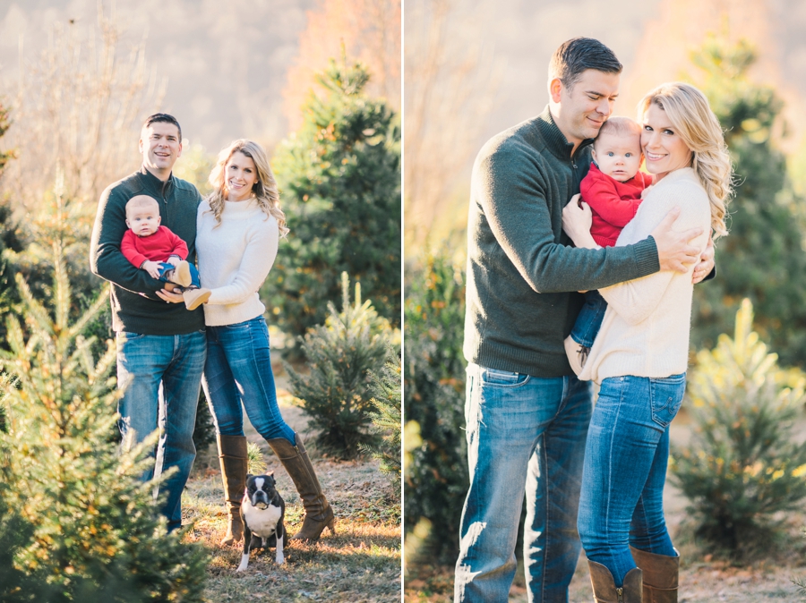 Hank's Christmas Tree Farm, Virginia Mini Sessions Pt. 1