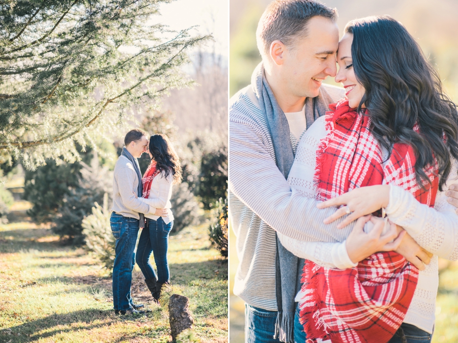 Hank's Christmas Tree Farm, Virginia Mini Sessions Pt. 4