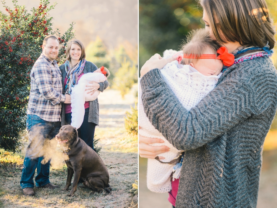 Hank's Christmas Tree Farm, Virginia Mini Sessions Pt. 3