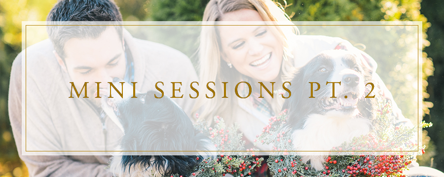 Hank's Christmas Tree Farm, Virginia Mini Sessions Pt. 1