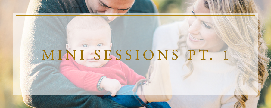 Hank's Christmas Tree Farm, Virginia Mini Sessions Pt. 1