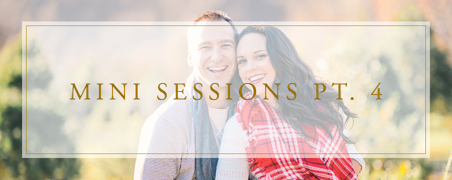 Hank's Christmas Tree Farm, Virginia Mini Sessions Pt. 4