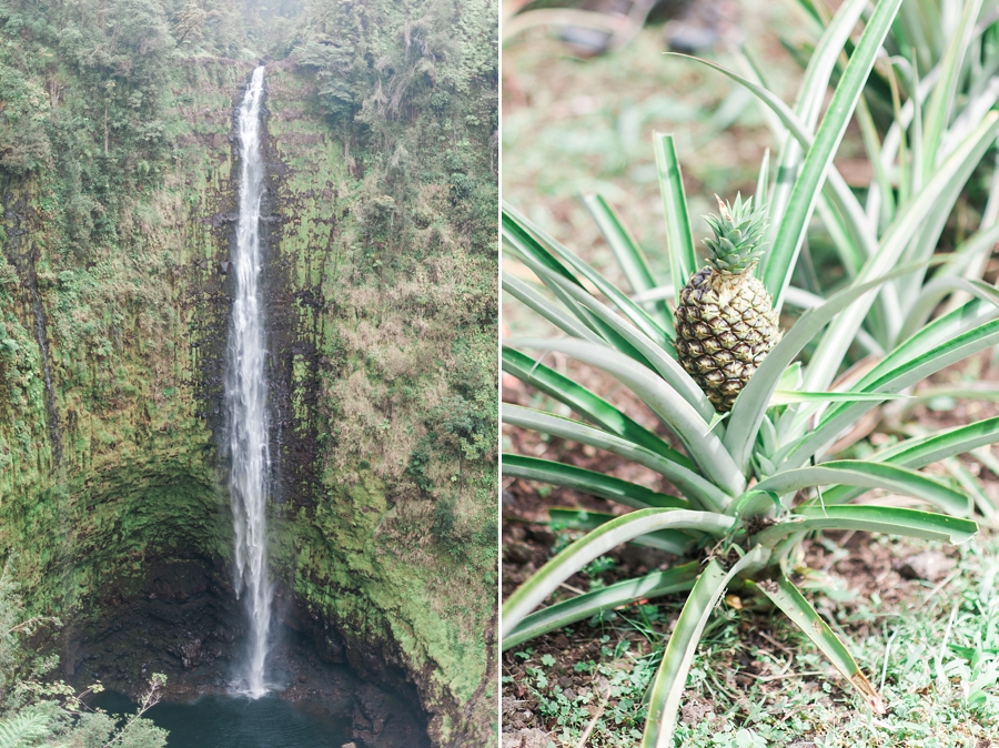 Hawaii, Big Island, Kona + Hilo | Volcano, Luau, South Point, Black Sand Beach and Waterfall adventures!
