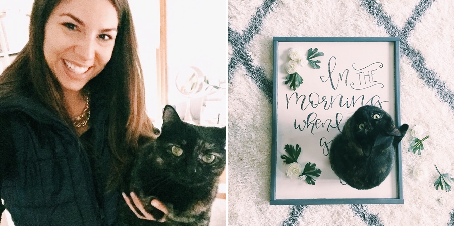Pixie Comes Home!