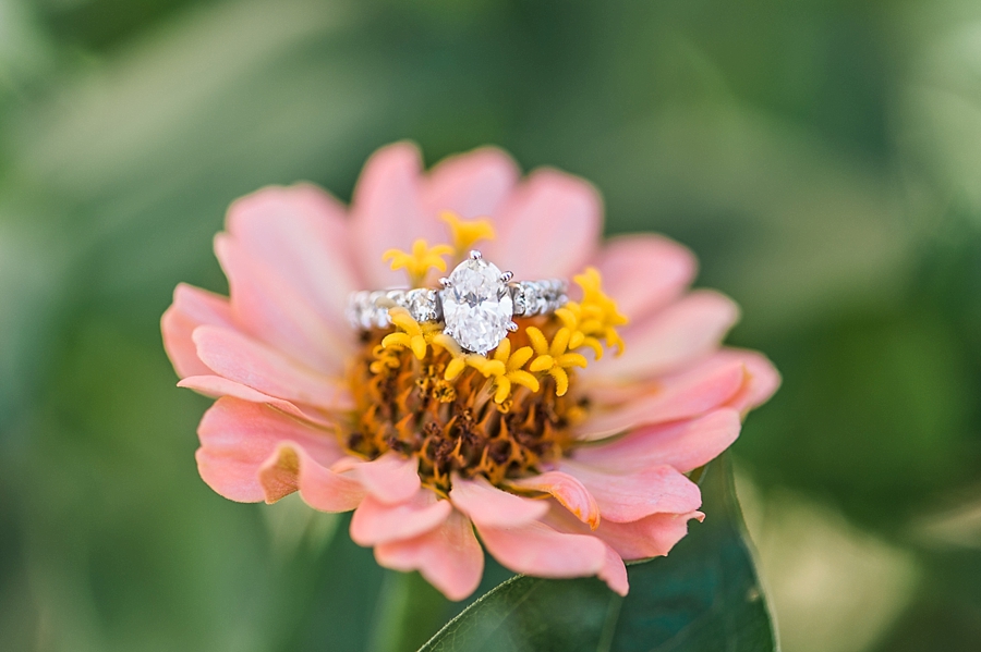 Justin and Allie | Warrenton, Virginia Plane Banner Proposal Photographer