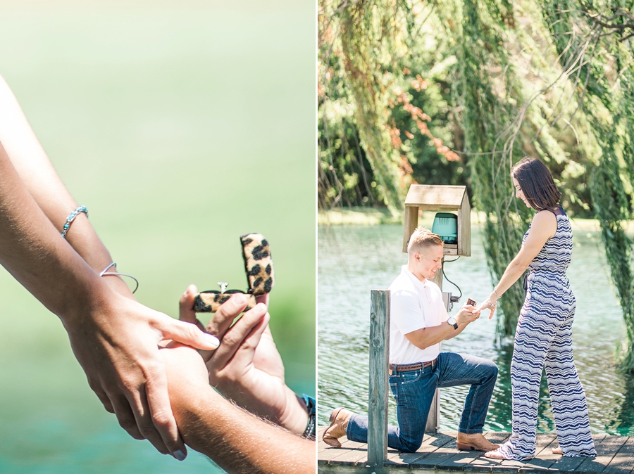 Justin and Allie | Warrenton, Virginia Plane Banner Proposal Photographer