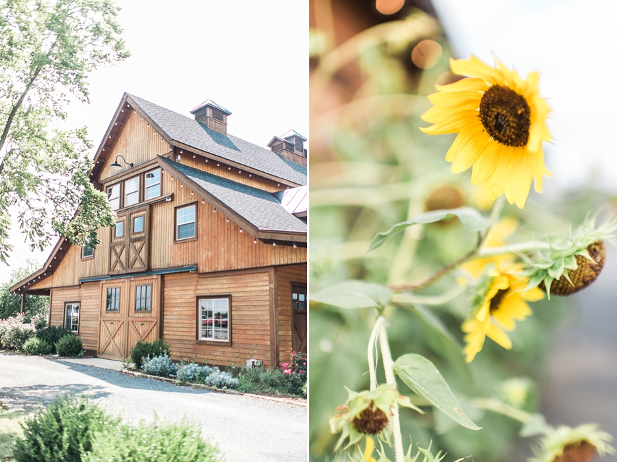 Josh & Amanda | Stone Tower Winery, Leesburg, Virginia Wedding Photographer