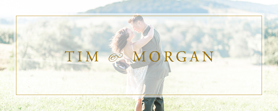Tim & Morgan | Sky Meadows Park, Virginia Engagement Photographer