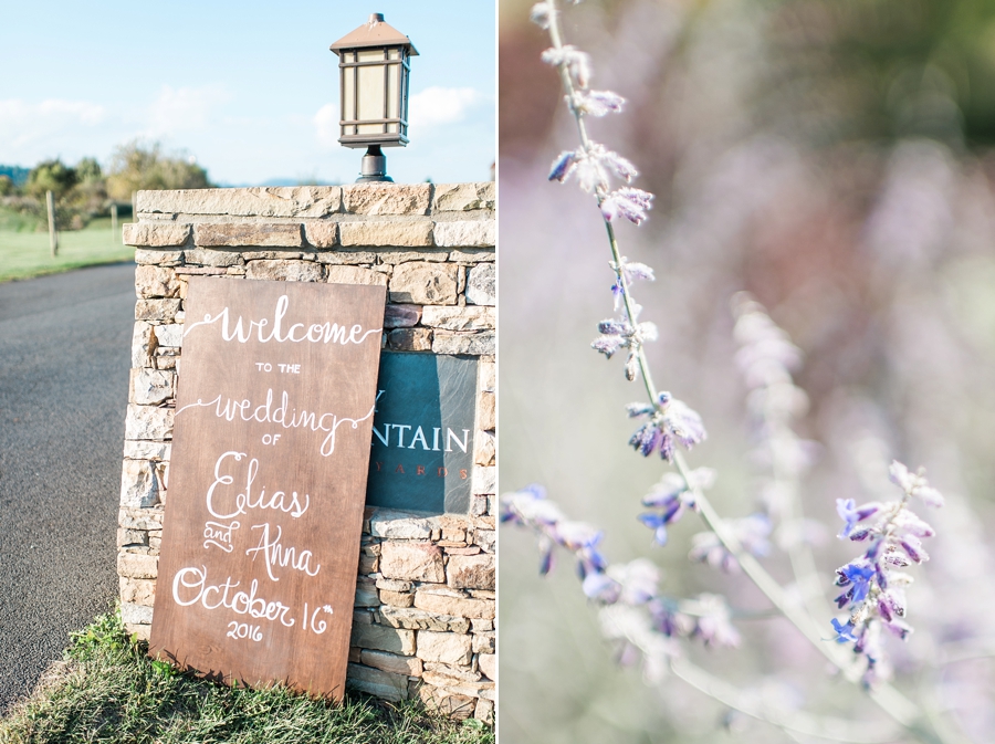 Elias & Anna | An Elegant Fall Early Mountain Vineyard, Virginia Wedding Photographer