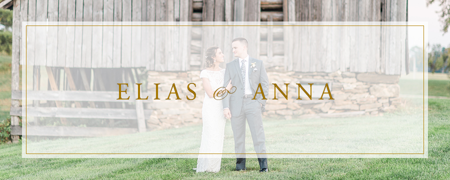 Elias & Anna | An Elegant Fall Early Mountain Vineyard, Virginia Wedding Photographer