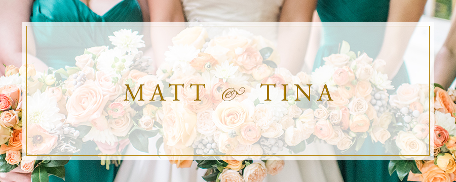 Matt & Tina | Stevenson Ridge, Virginia Wedding Photographer