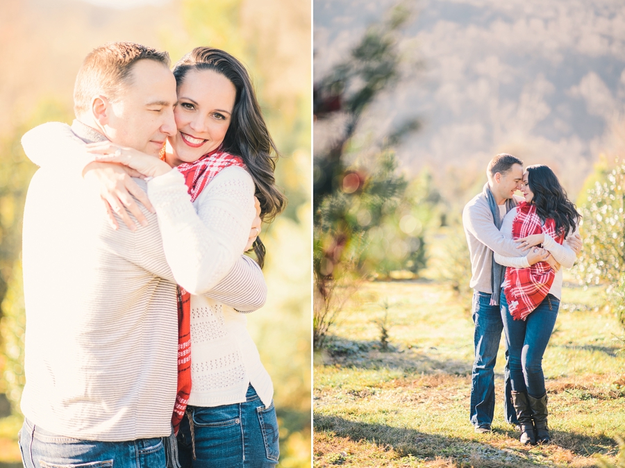 Christmas Mini Sessions