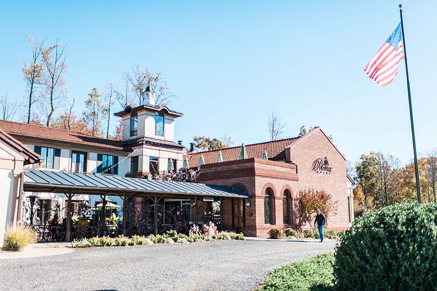 James & Greta | Potomac Point Winery, Virginia Wedding Photographer