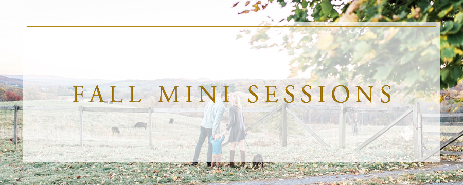 Mini Sessions Warrenton, Virginia Portrait Photographer