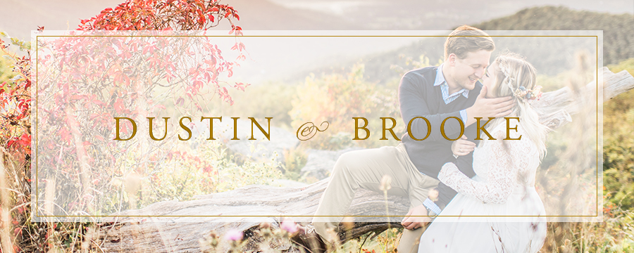 Dustin & Brooke | Skyline Drive, Virginia Maternity Announcement Photographer