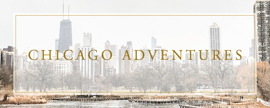 Chicago Adventures | Travel Photographer