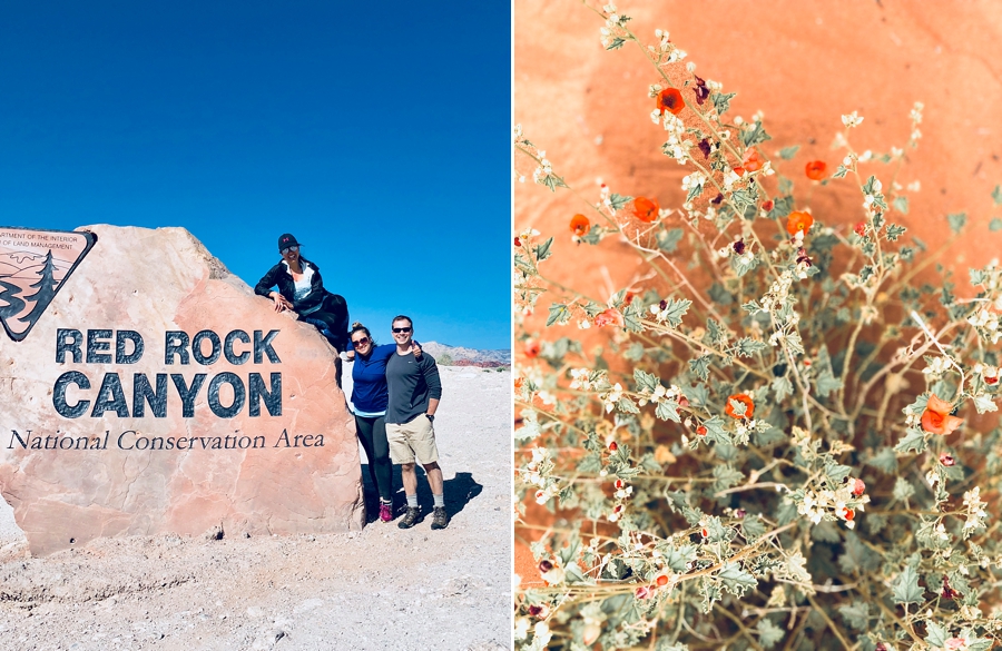 Las Vegas, Nevada Adventures | Red Rock Canyon, Calico II Hike