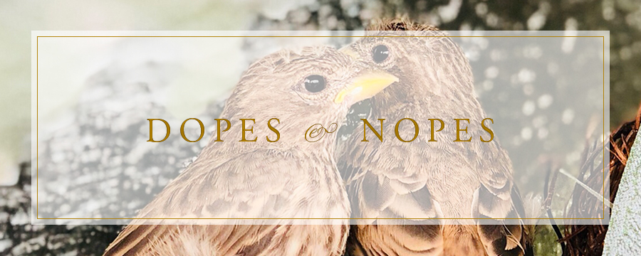 Dopes and Nopes | Stephanie Messick Photography Weekend Recap