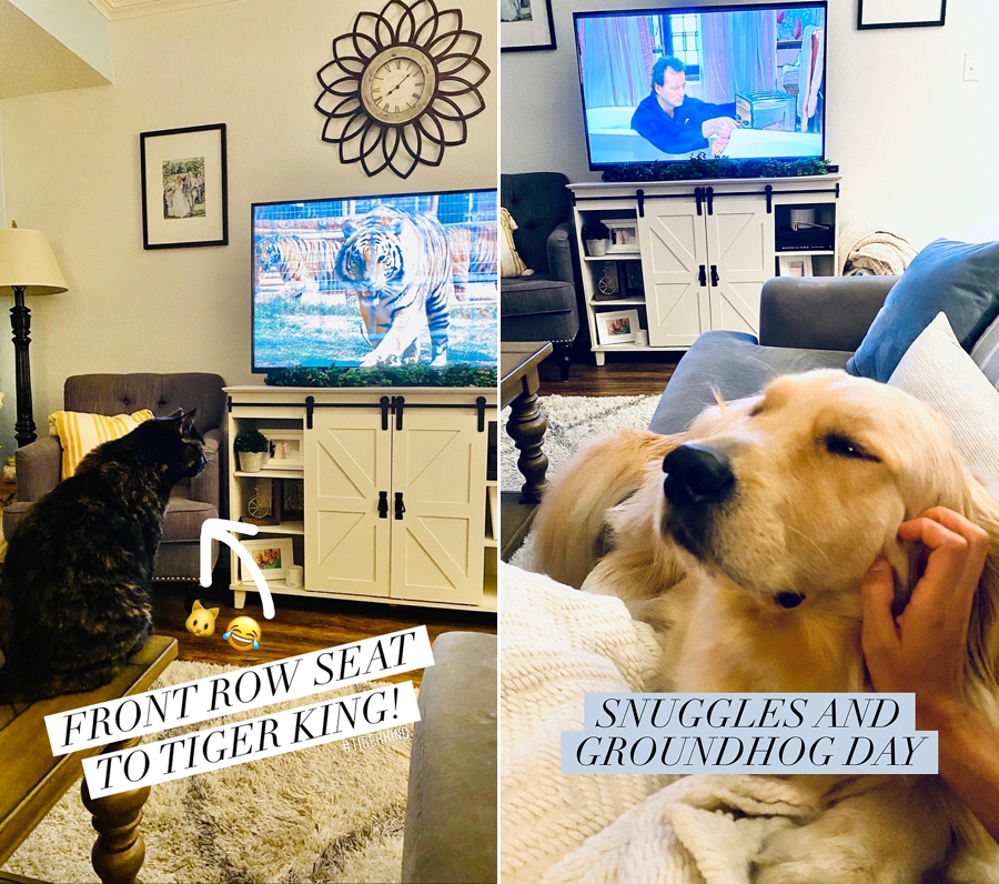 Coffee Talk Mondays | Snuggles on the Couch watching Tiger King