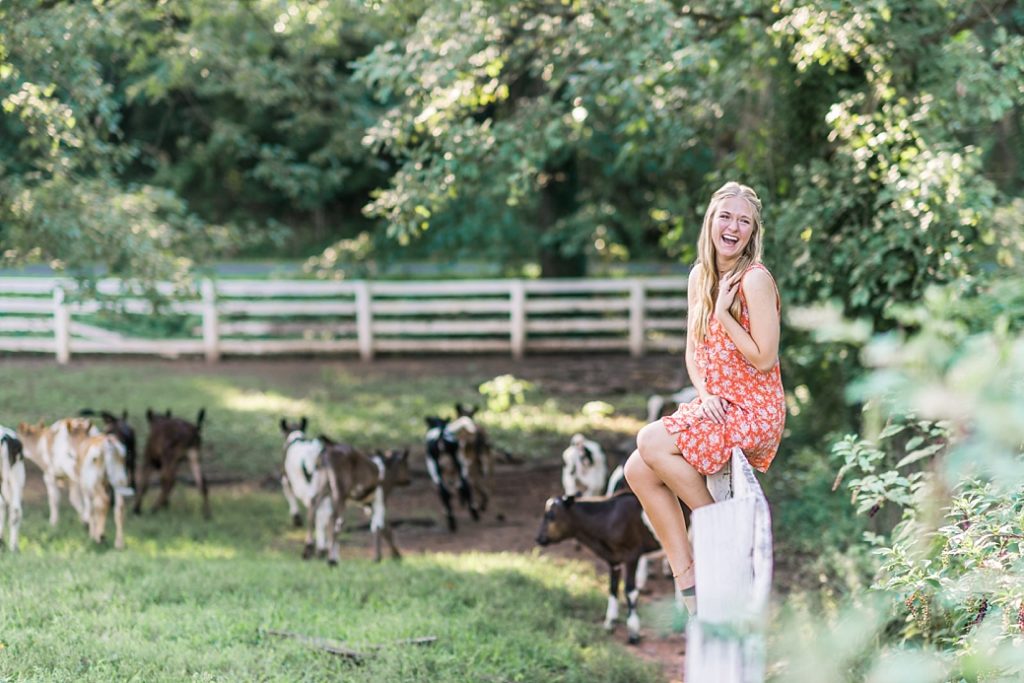 Hellie | Warrenton, Virginia Farm Senior Portrait Photographer