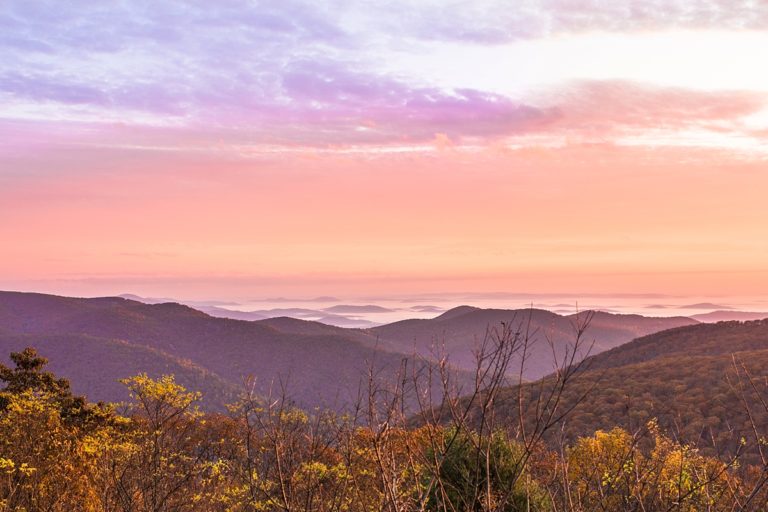 The Best Portrait Overlooks Shenandoah National Park