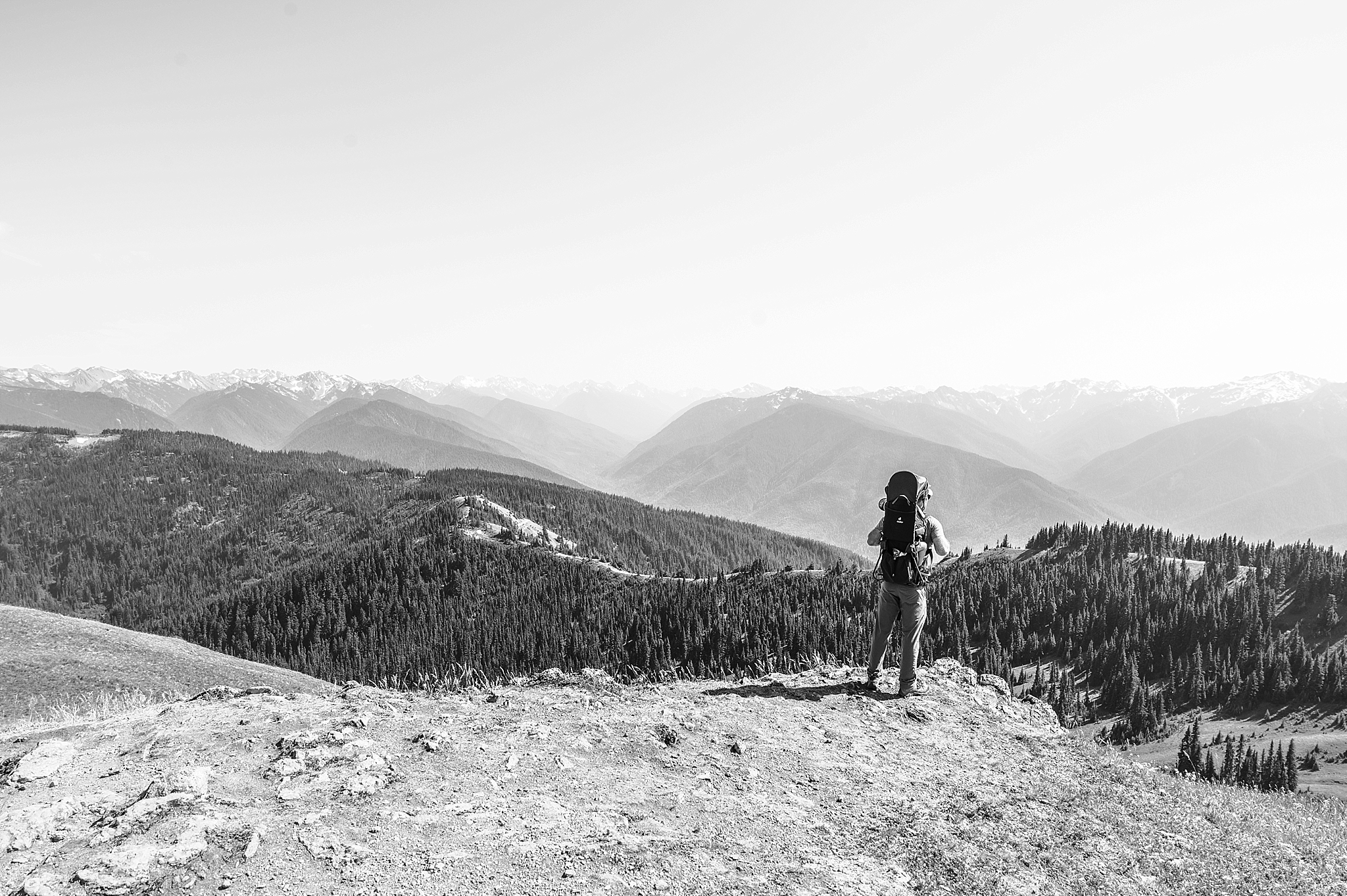 Olympic National Park, Washington Adventures