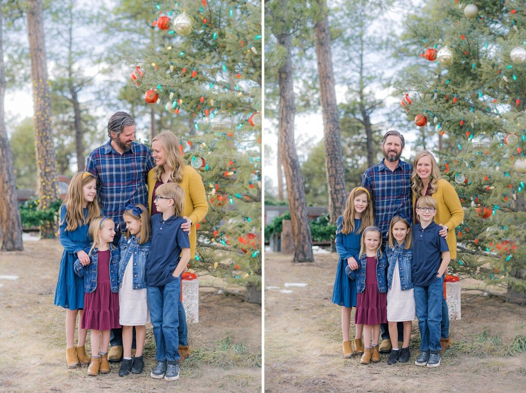 Christmas Mini Sessions at Forest Bend Farm in Black Forest, Colorado