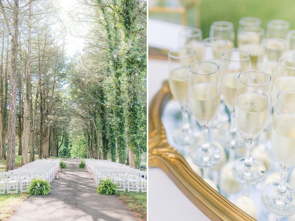 Poplar Springs Manor Warrenton, Virginia Wedding